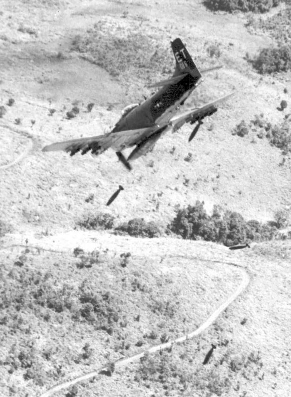 Nguoi chien si Quan luc VNCH